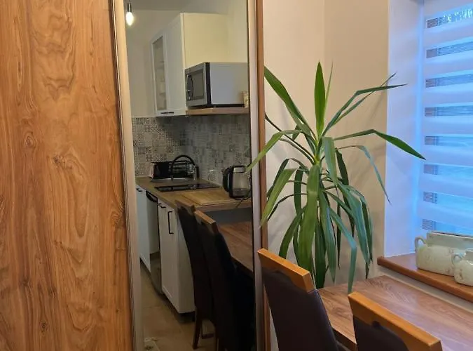 U Jerzyka 아파트 *